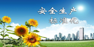 什么是安全生產(chǎn)標(biāo)準(zhǔn)化？